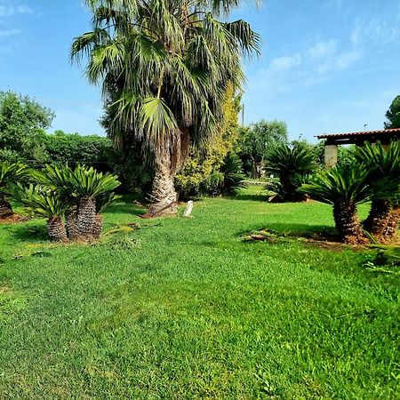 B&B Rosa Podere 28 Palagianello Exterior photo